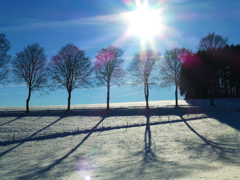 unter linden winter